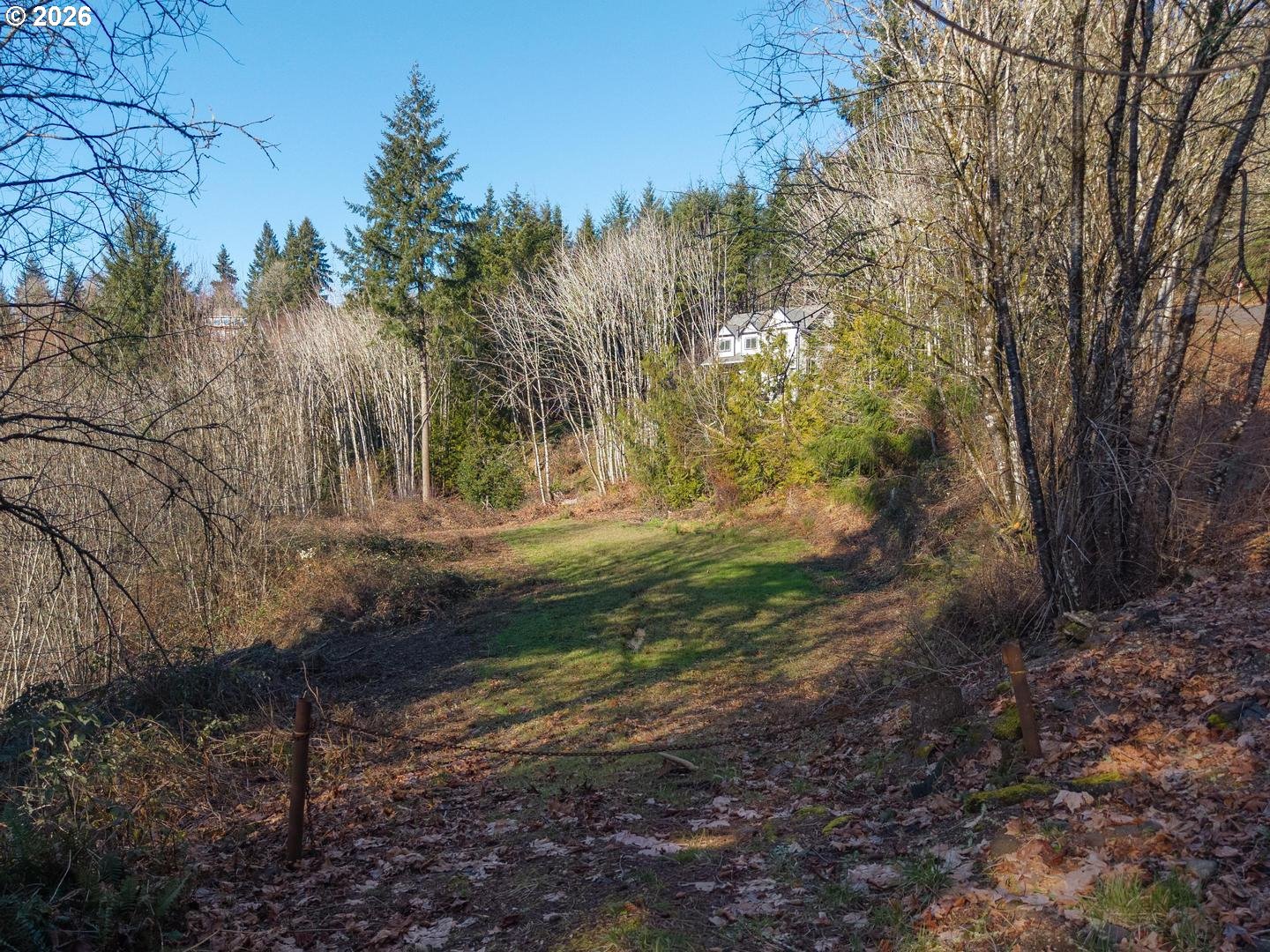 335 HILLSDALE DR