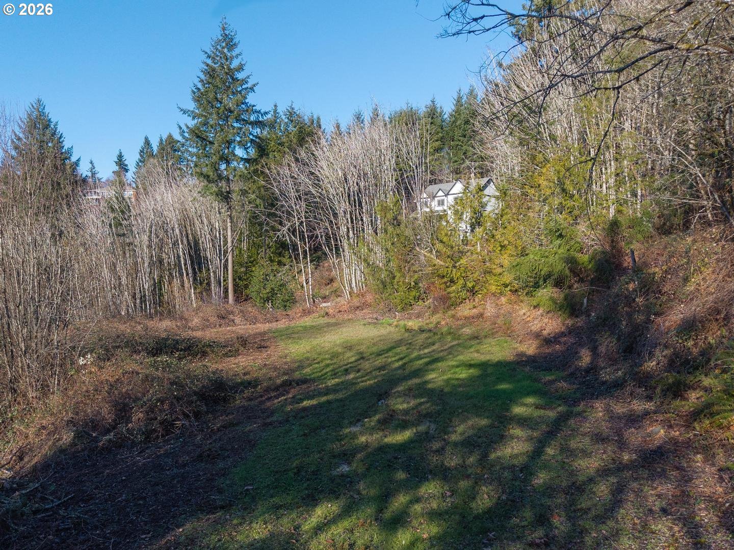 335 HILLSDALE DR
