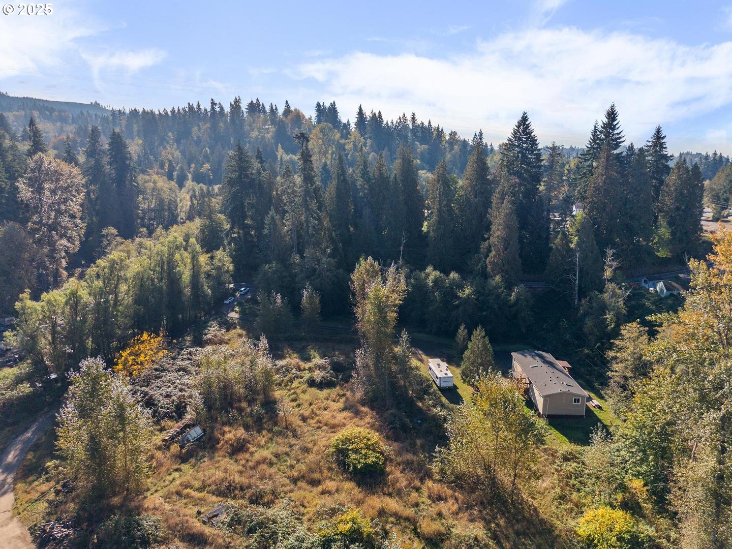 196 OSTRANDER RD, Kelso