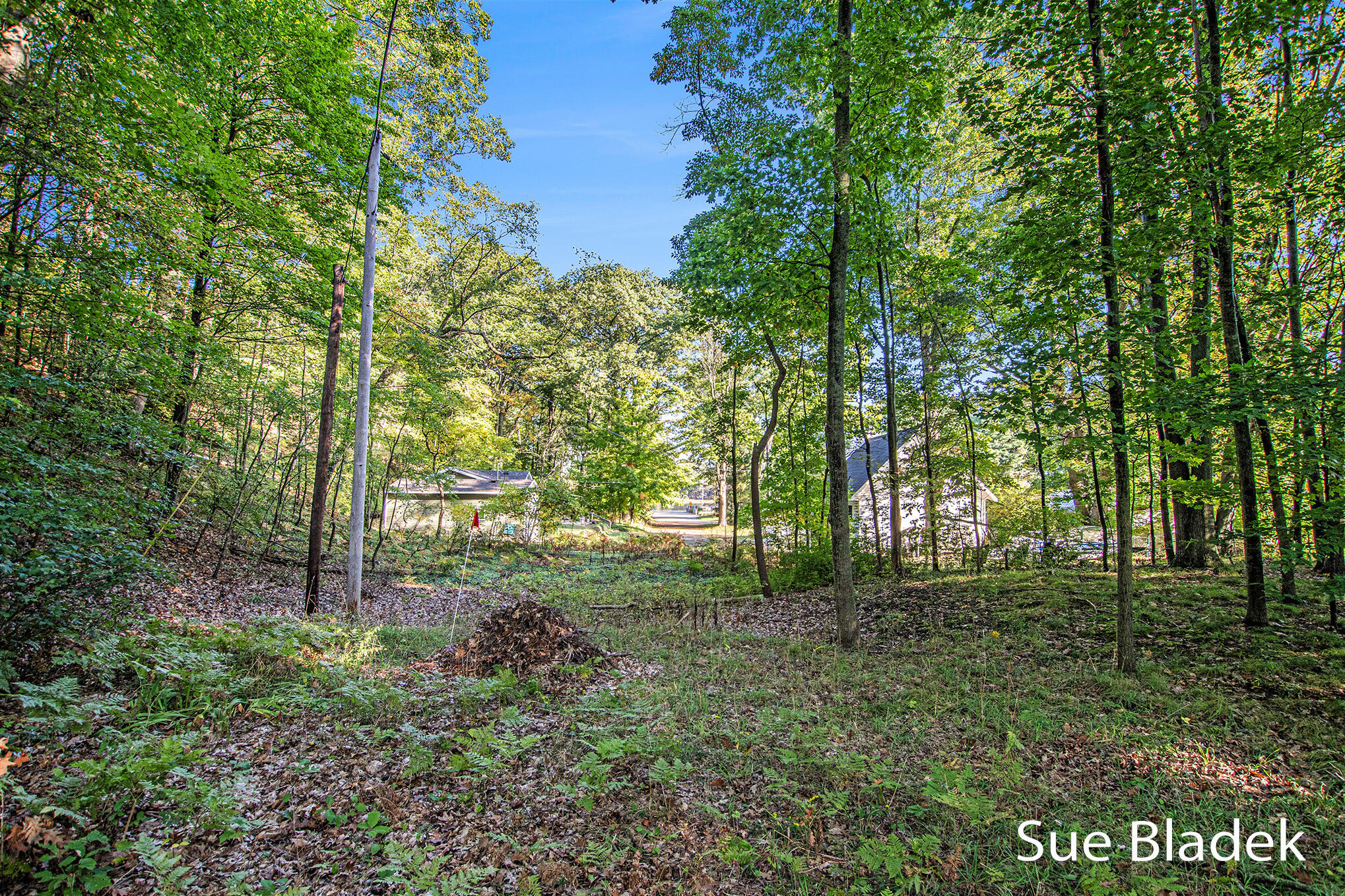 7135 Lakeshore Drive