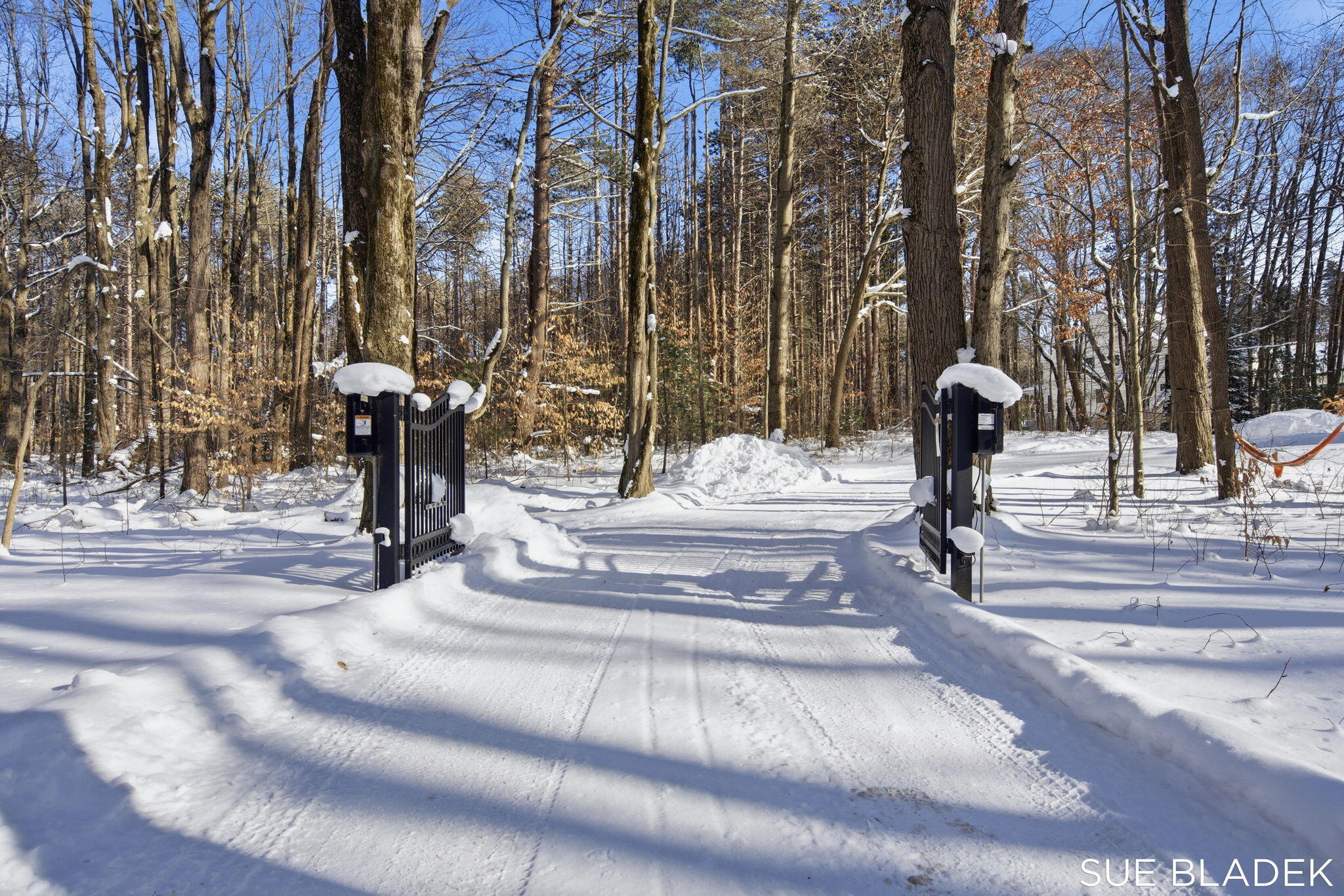 6380 Hidden Pond Drive