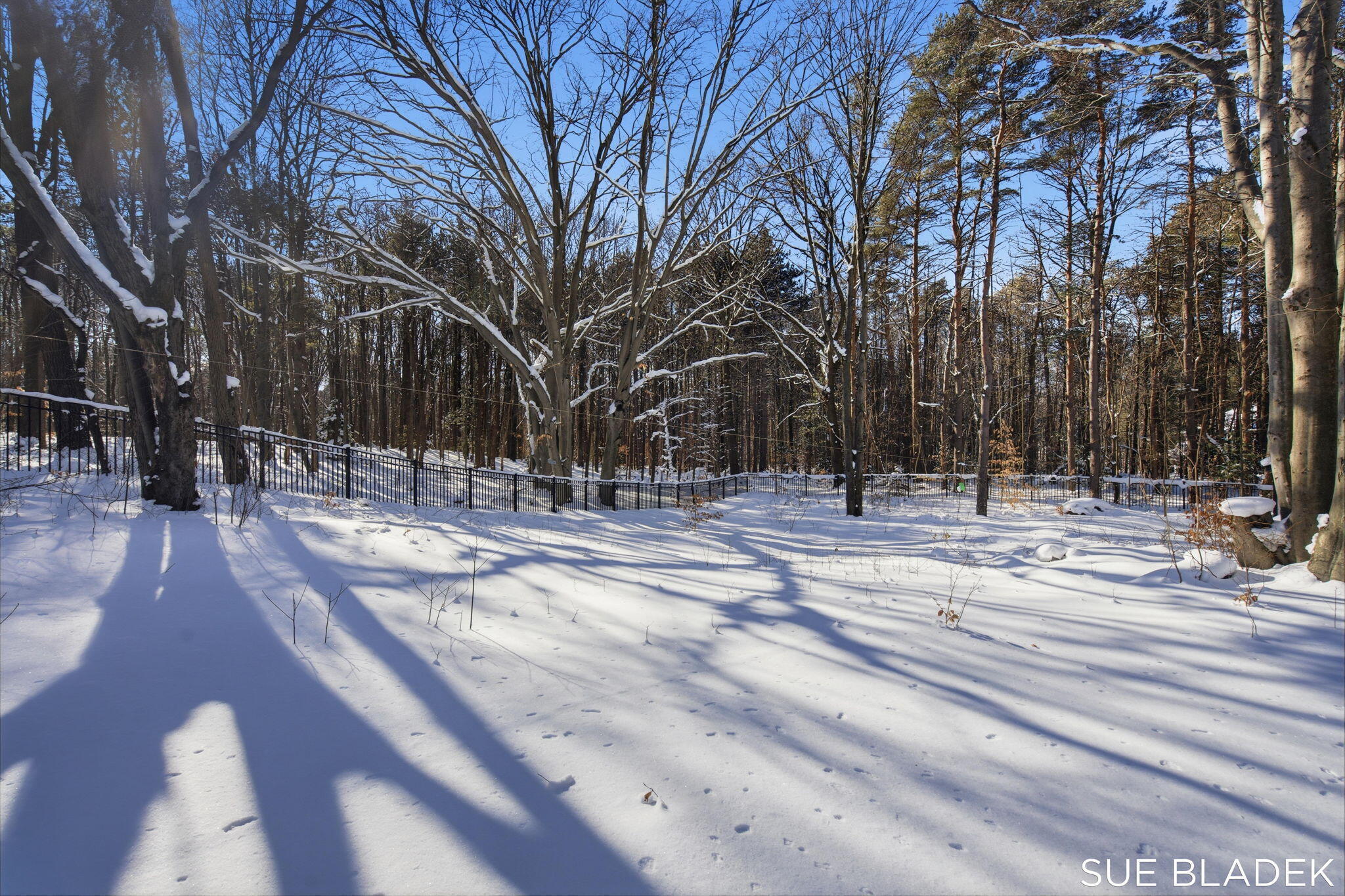 6380 Hidden Pond Drive