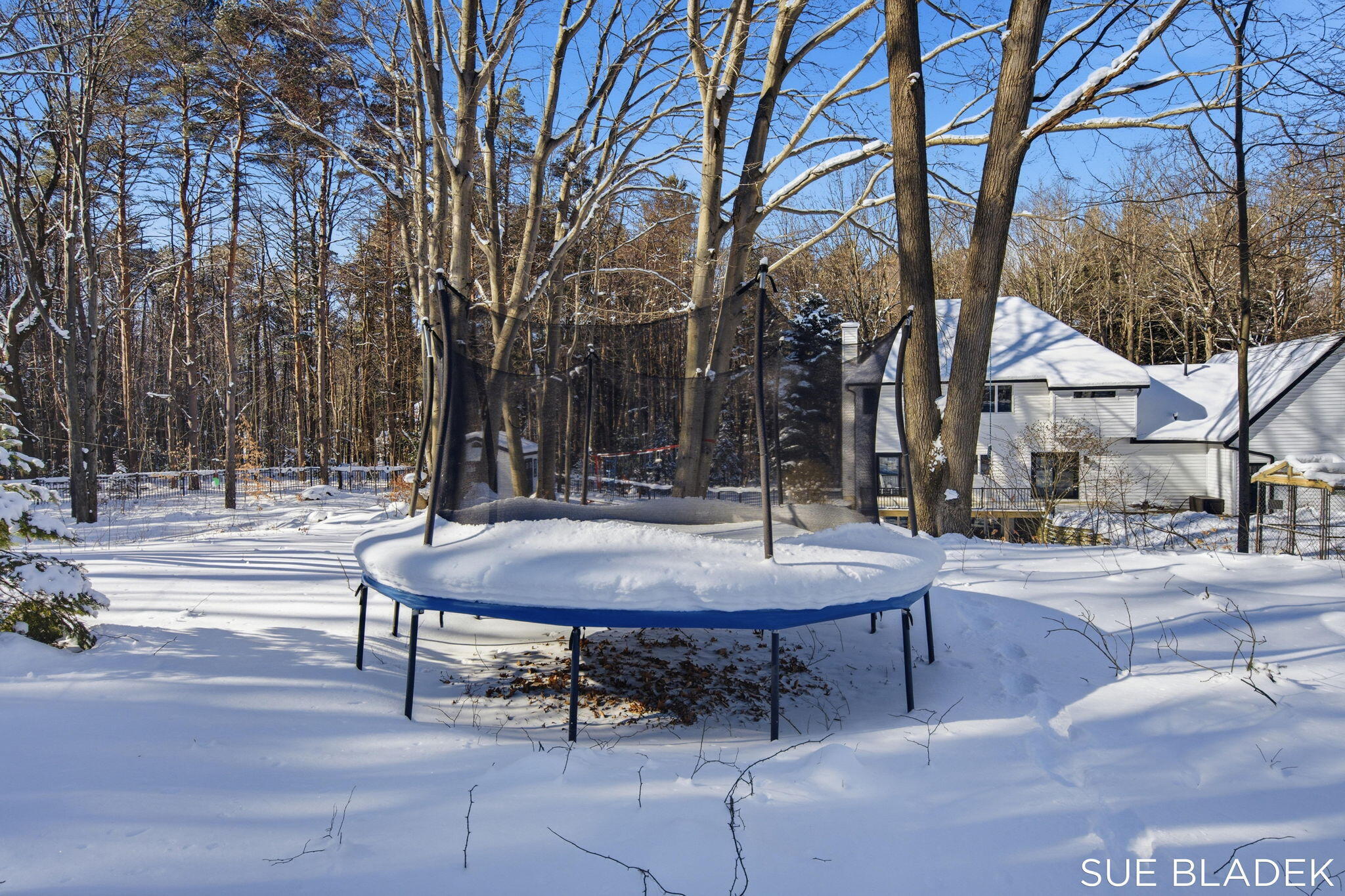 6380 Hidden Pond Drive