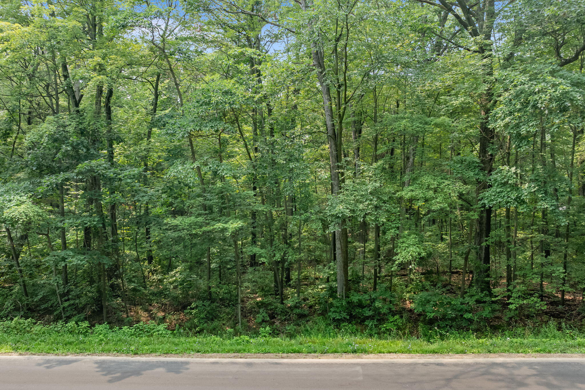 0 N 160th Avenue