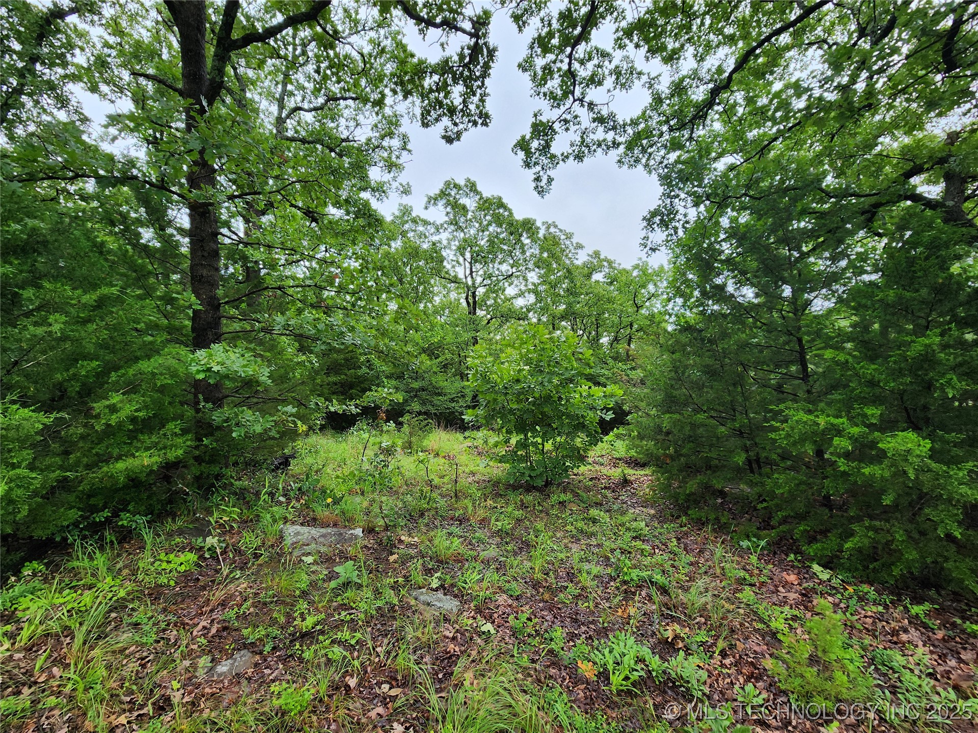 Frank Avenue Rock Creek