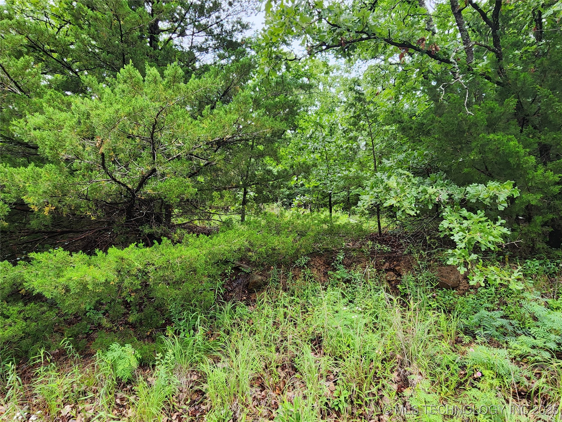 Frank Avenue Rock Creek