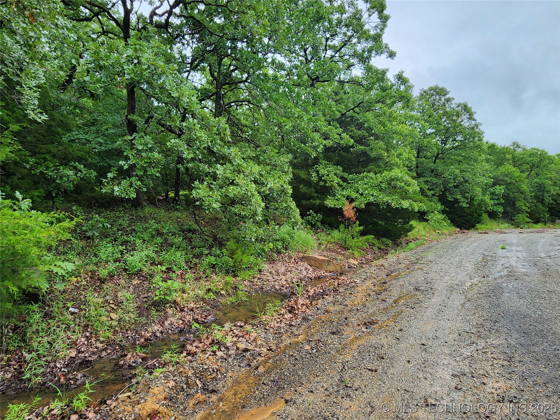 Frank Avenue Rock Creek