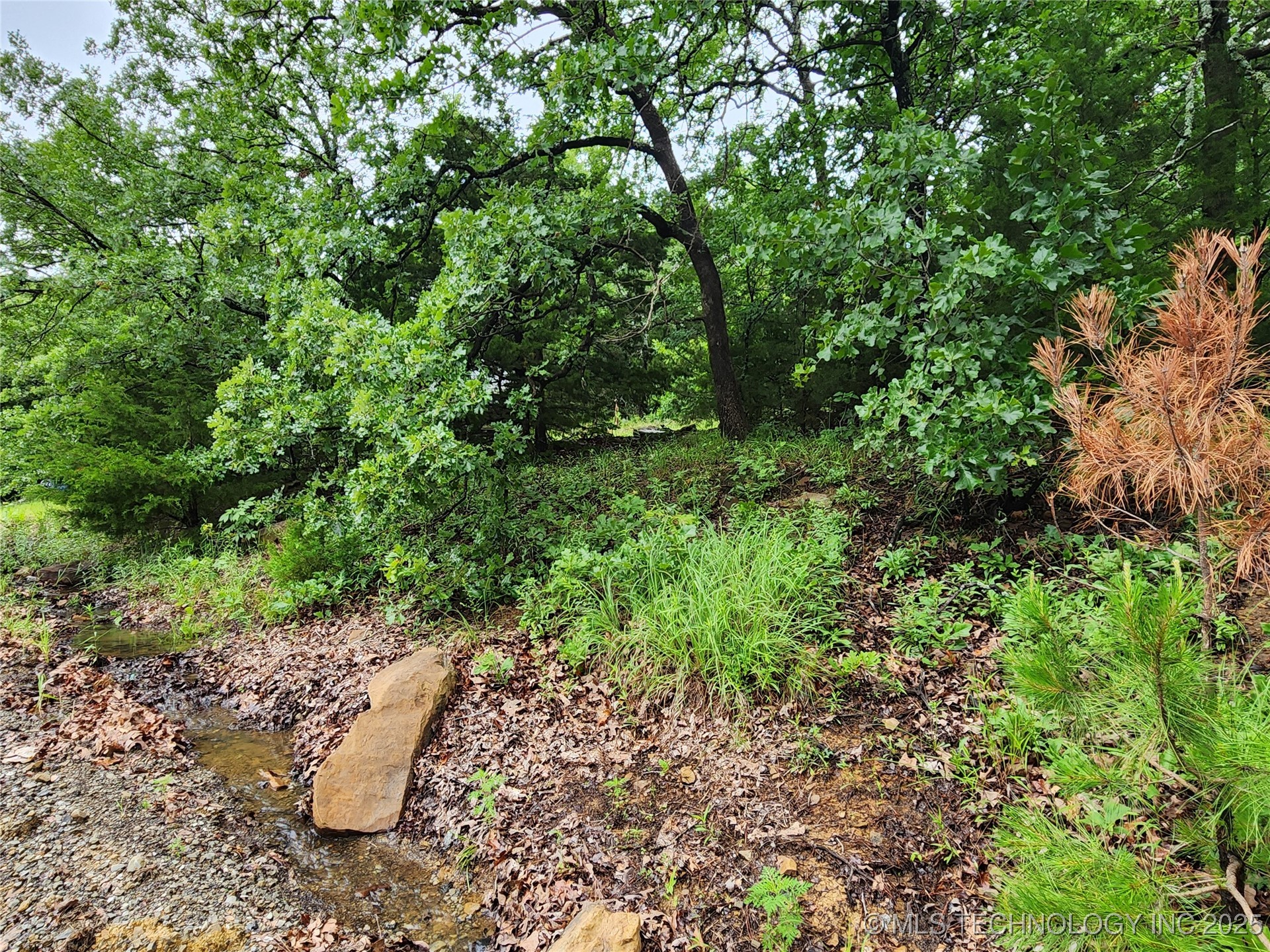 Frank Avenue Rock Creek