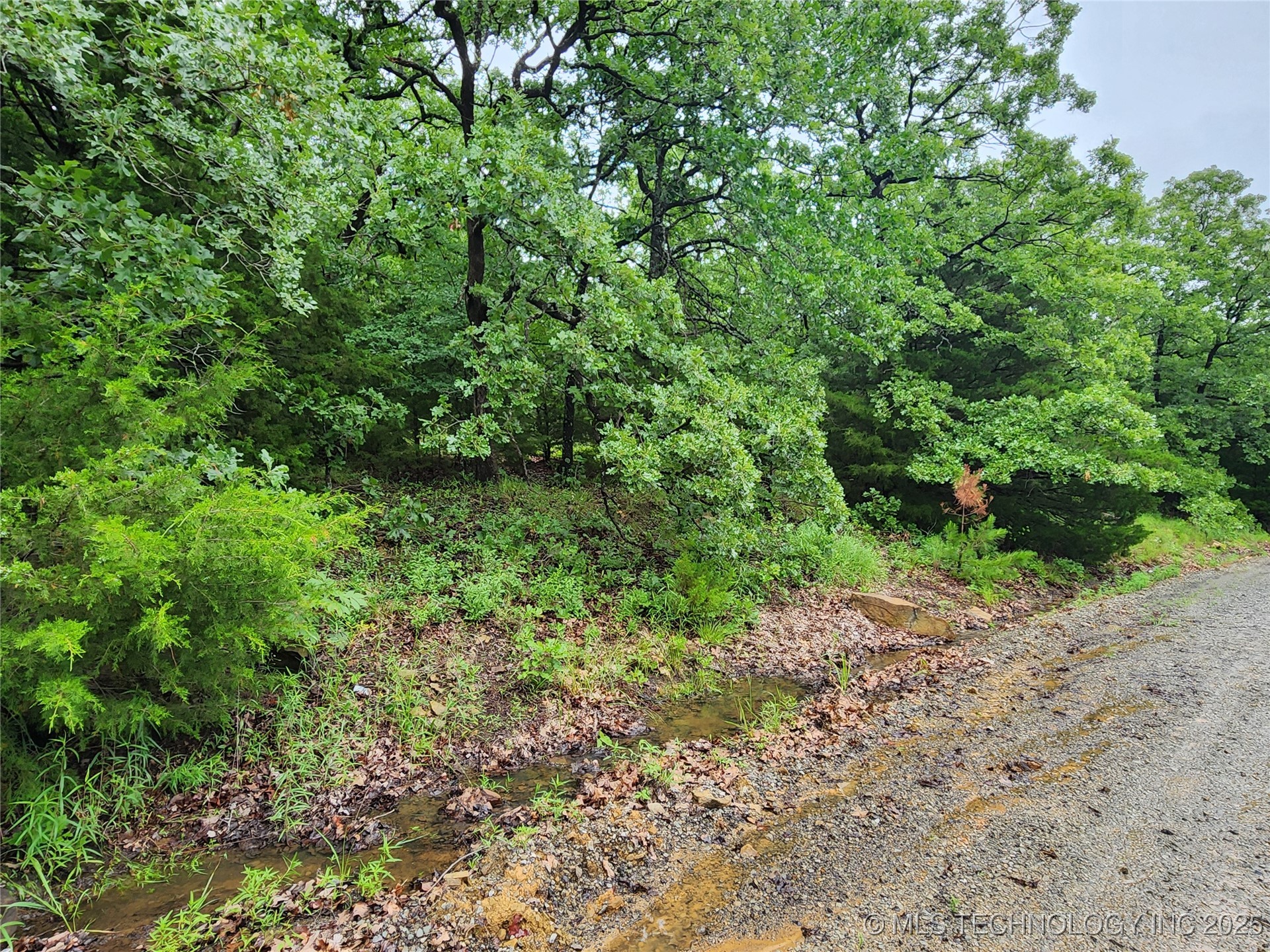 Frank Avenue Rock Creek