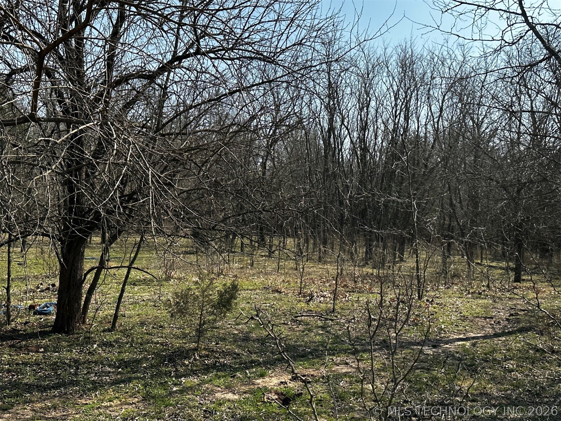 County Road 3680
