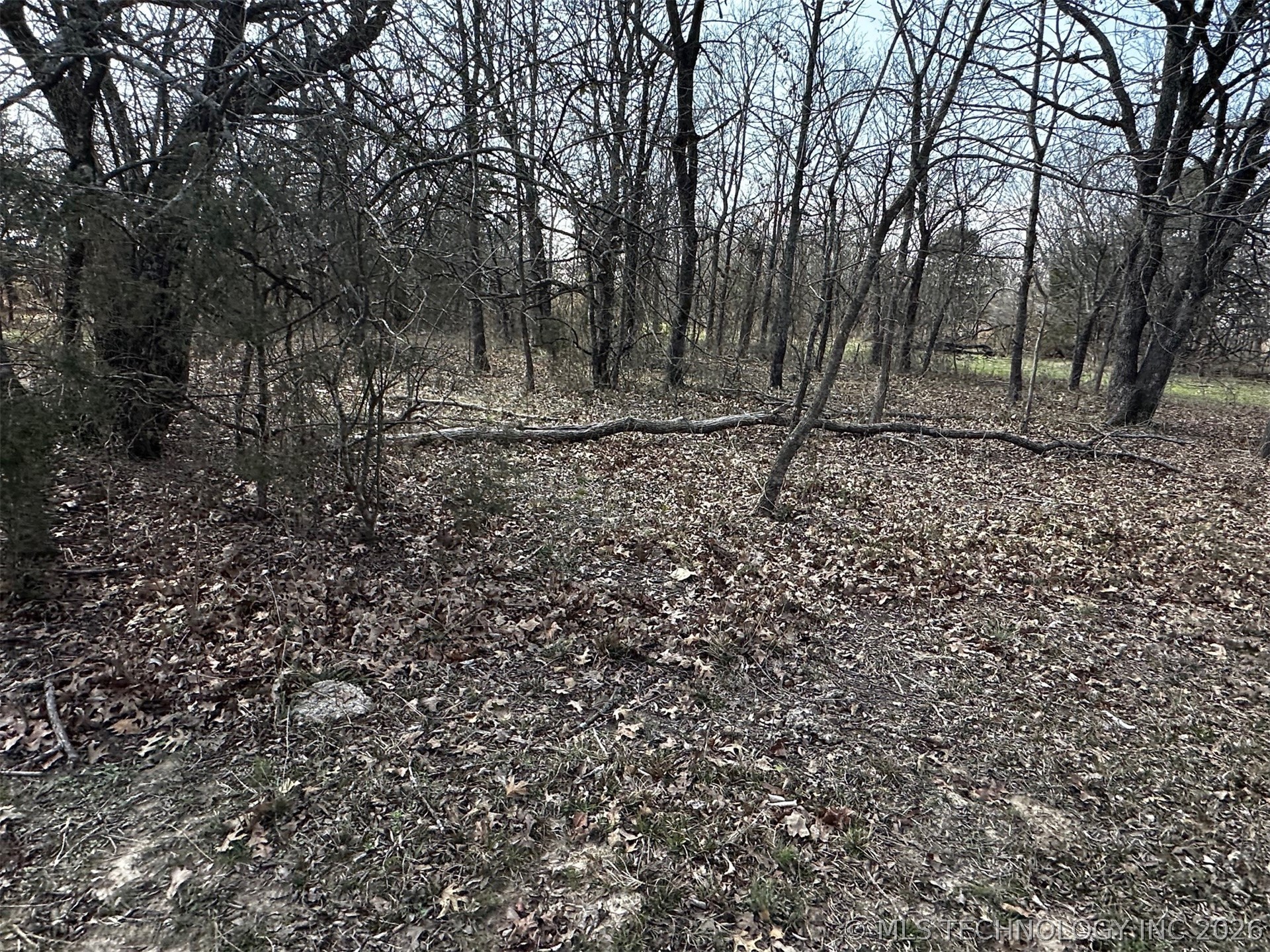 County Road 3680