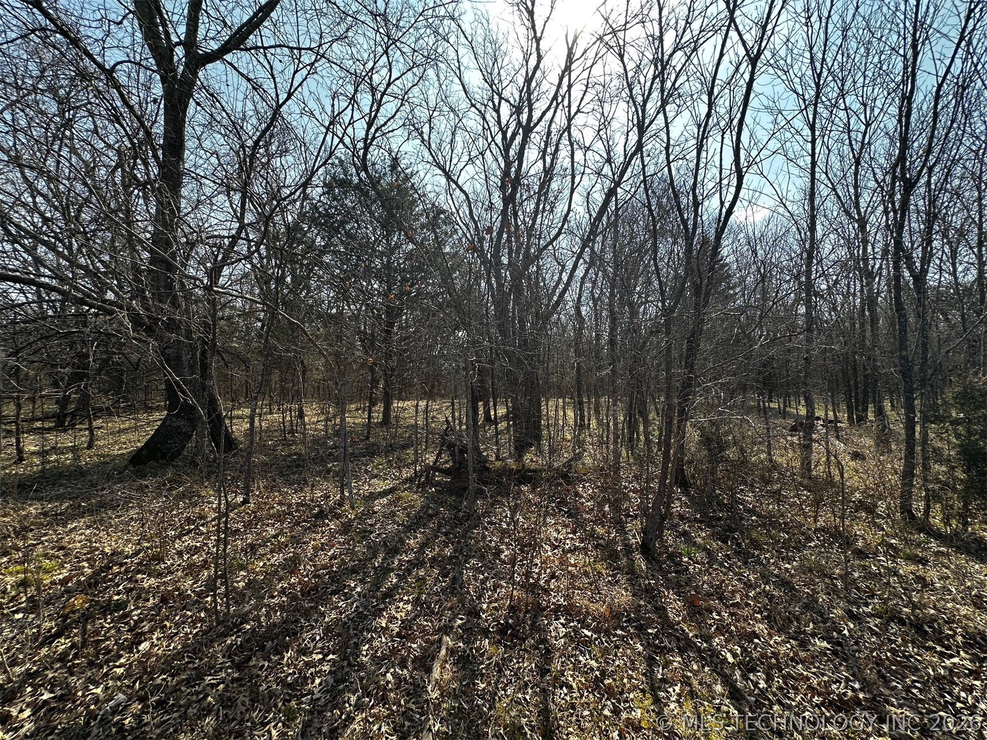 County Road 3680