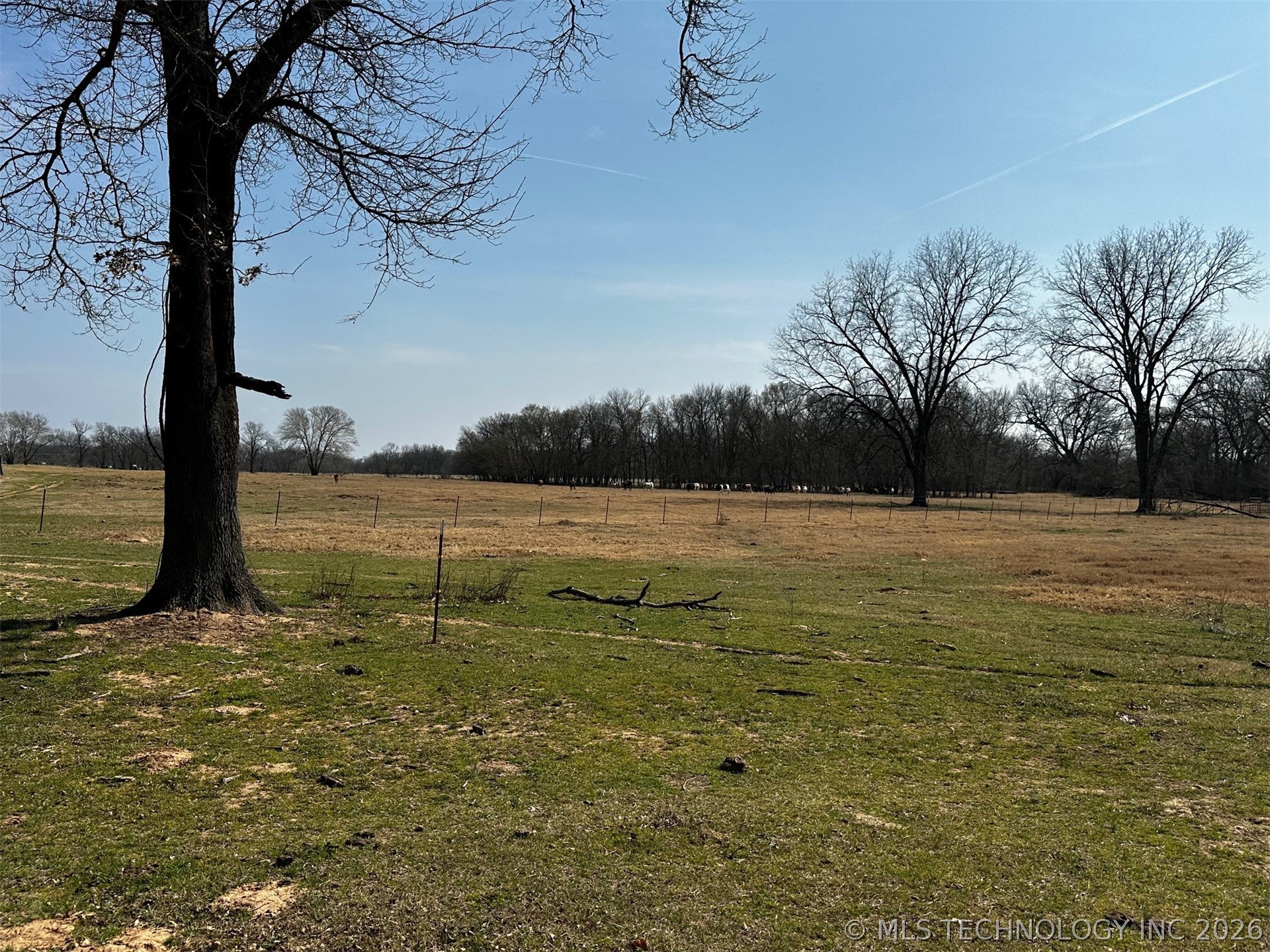 County Road 3680