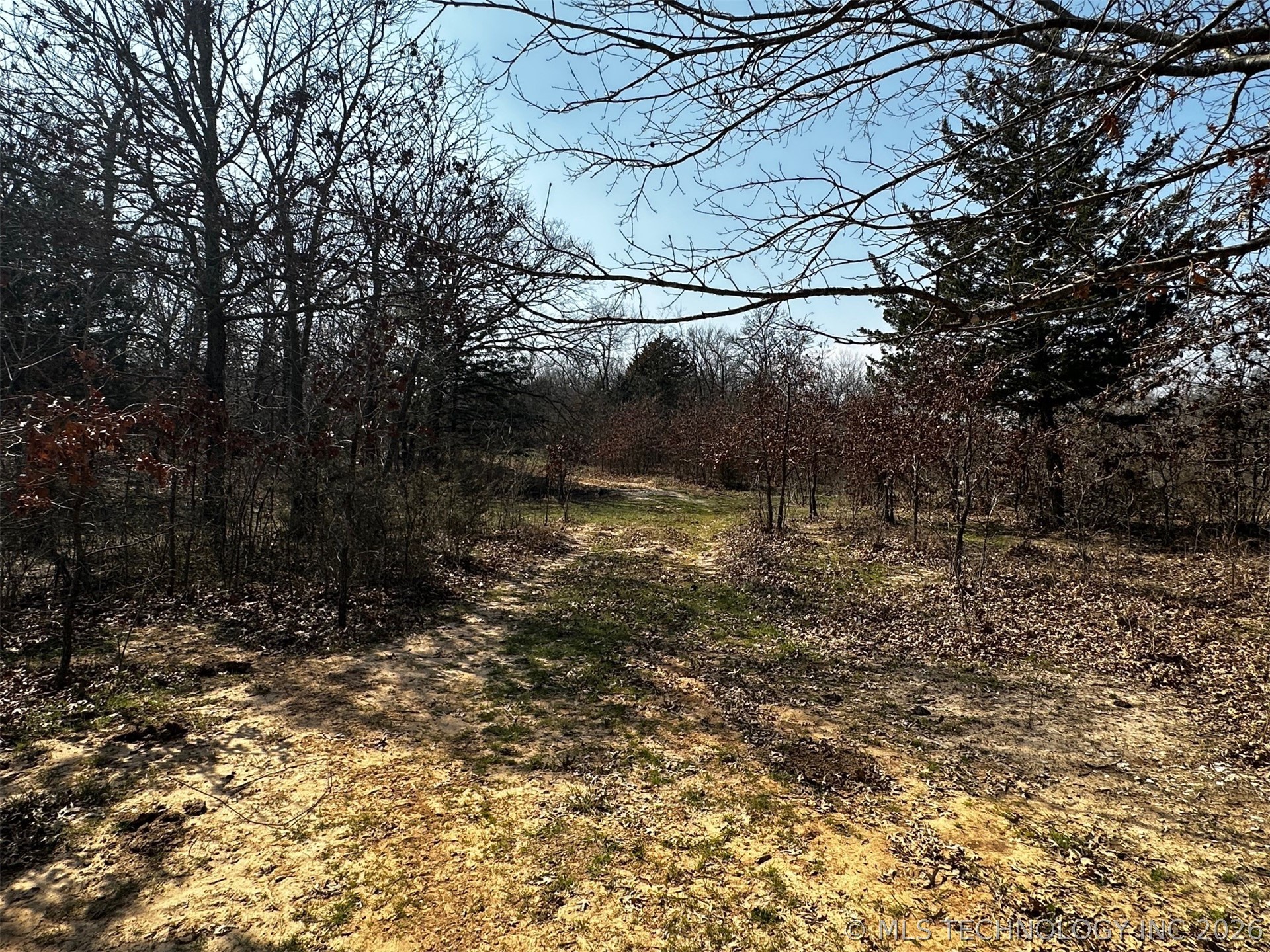 County Road 3680