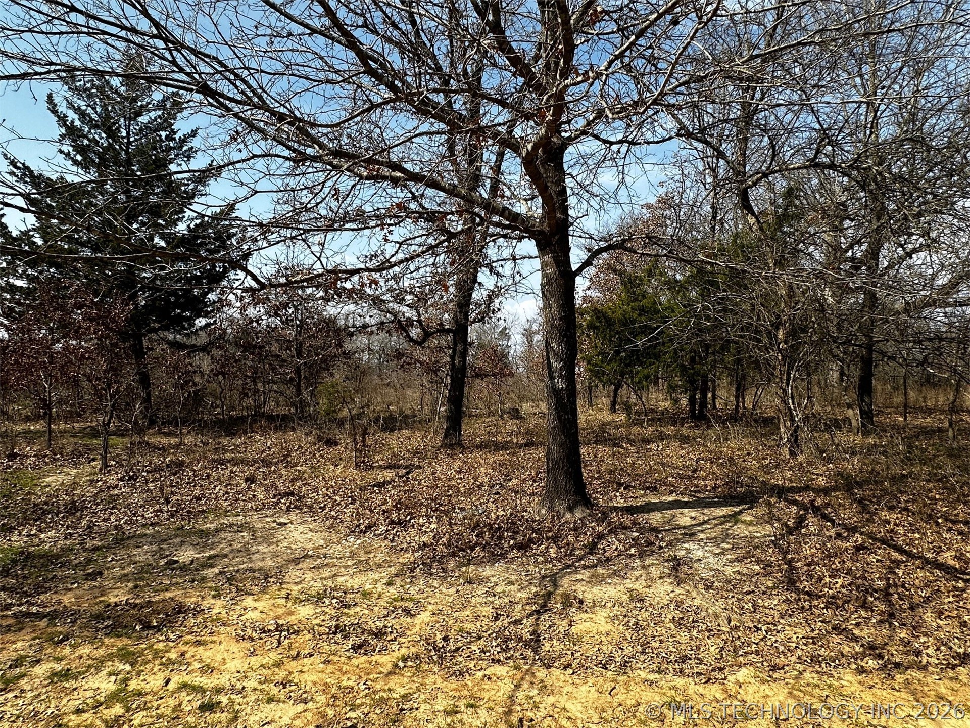 County Road 3680