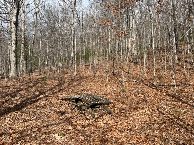 901 Allison Watts Road