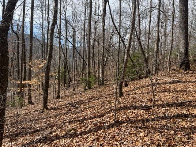 901 Allison Watts Road