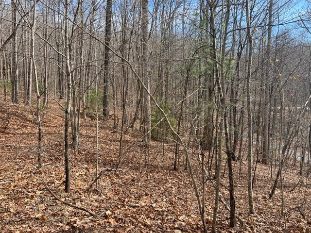 901 Allison Watts Road