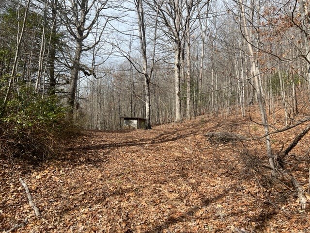 901 Allison Watts Road