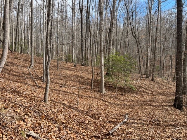 901 Allison Watts Road