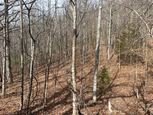 901 Allison Watts Road