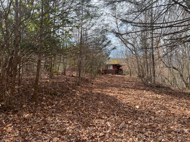 901 Allison Watts Road