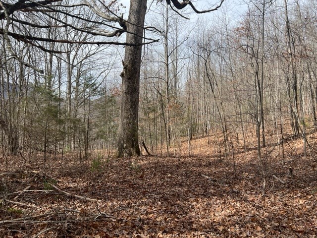 901 Allison Watts Road