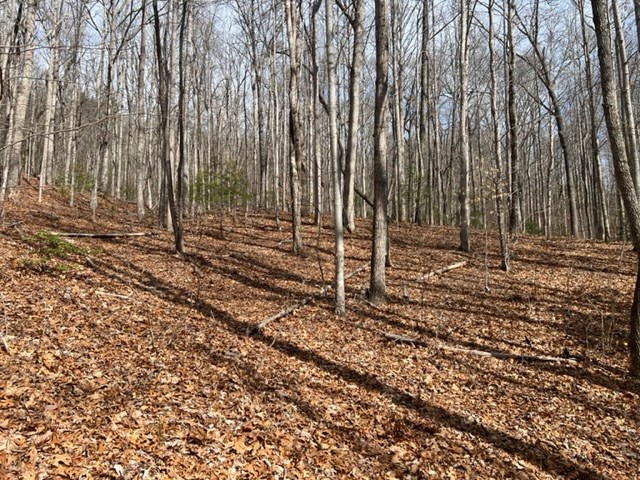 901 Allison Watts Road