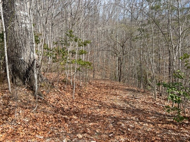 901 Allison Watts Road