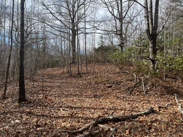 901 Allison Watts Road