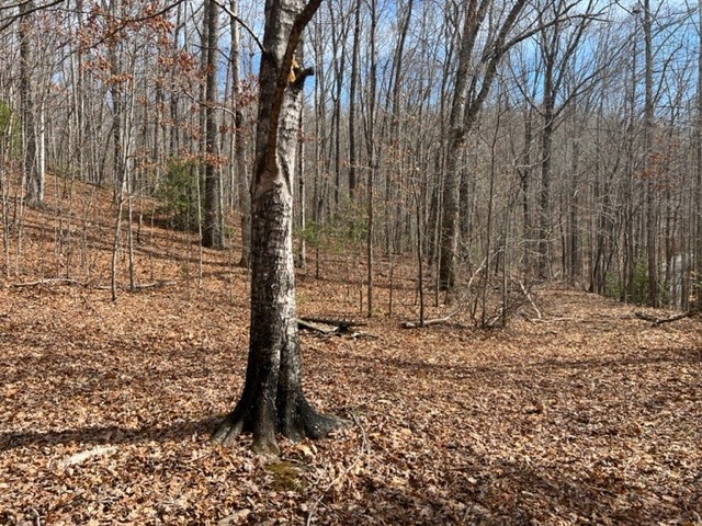 901 Allison Watts Road