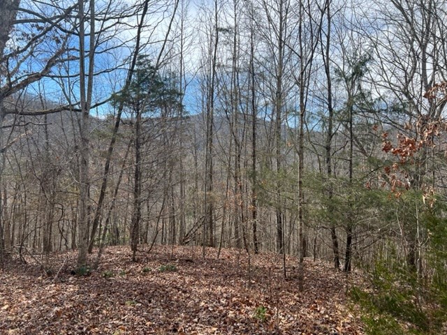 901 Allison Watts Road