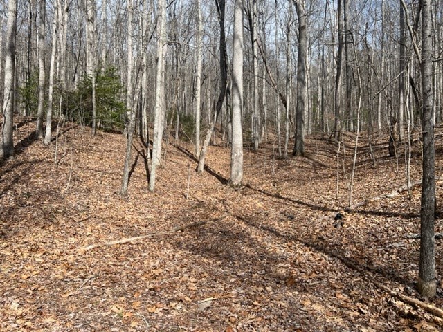 901 Allison Watts Road