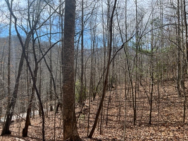 901 Allison Watts Road