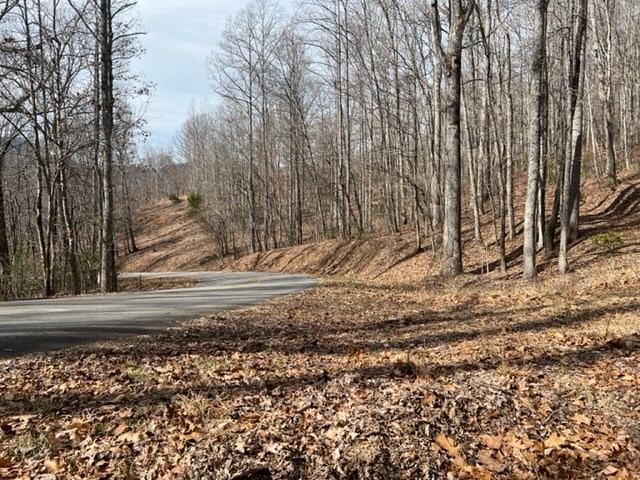 901 Allison Watts Road