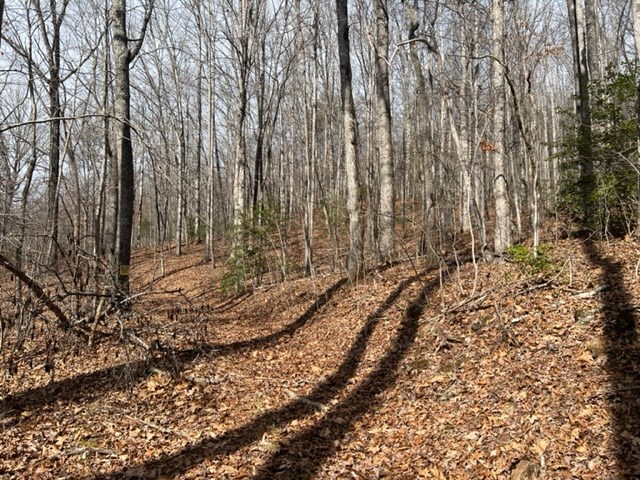 901 Allison Watts Road