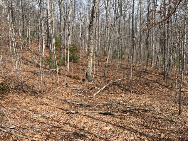 901 Allison Watts Road