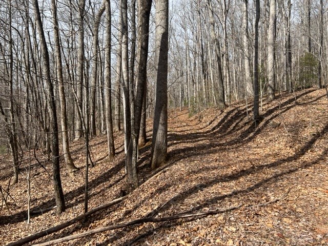 901 Allison Watts Road