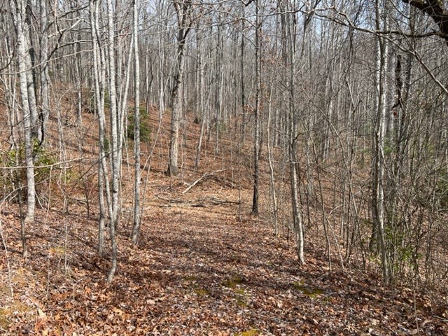 901 Allison Watts Road