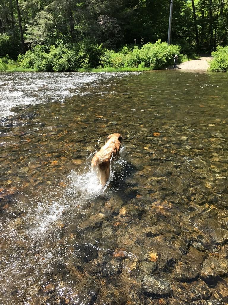 47 Thunderstruck Ln.