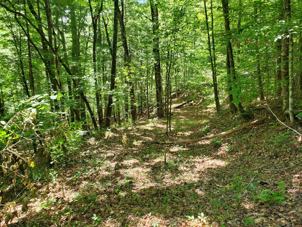 00 Garden Cove Road