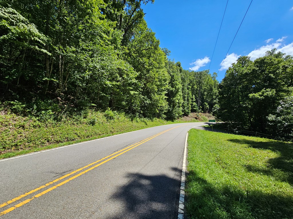 13475 Bryson City Road