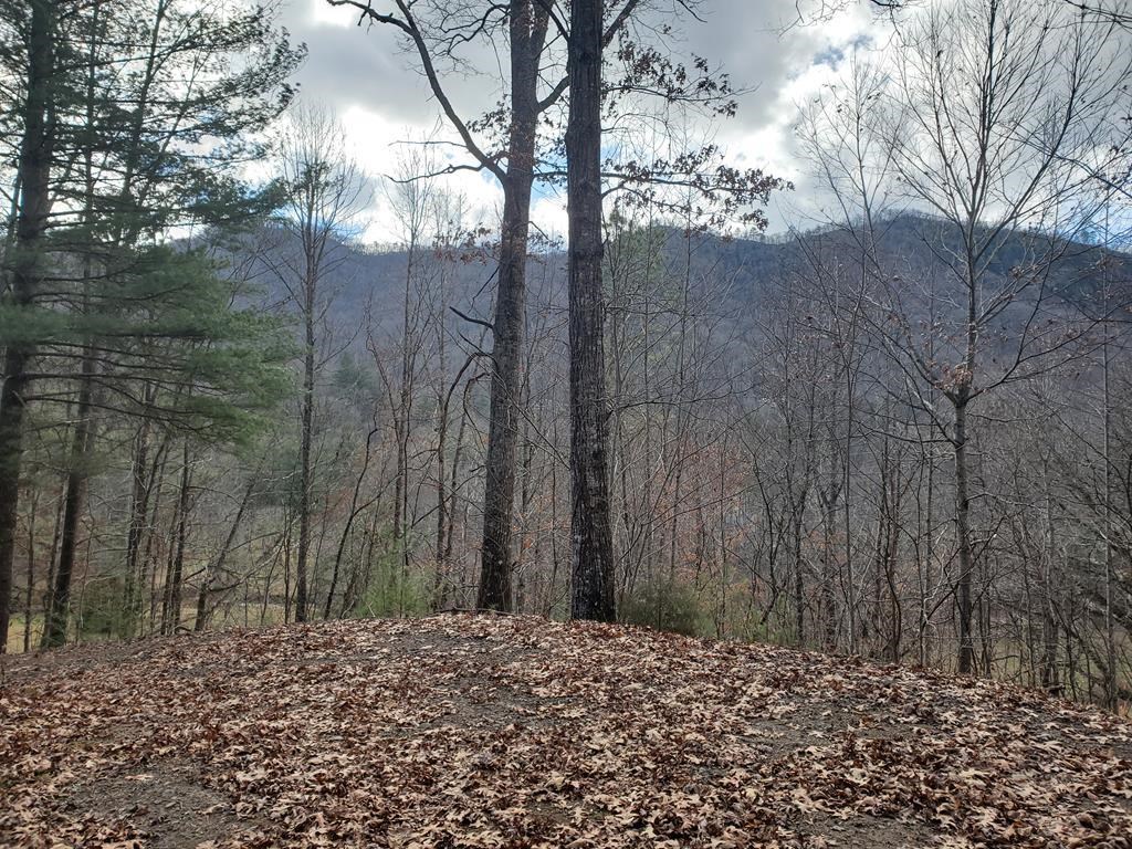 00 Cliff View Drive