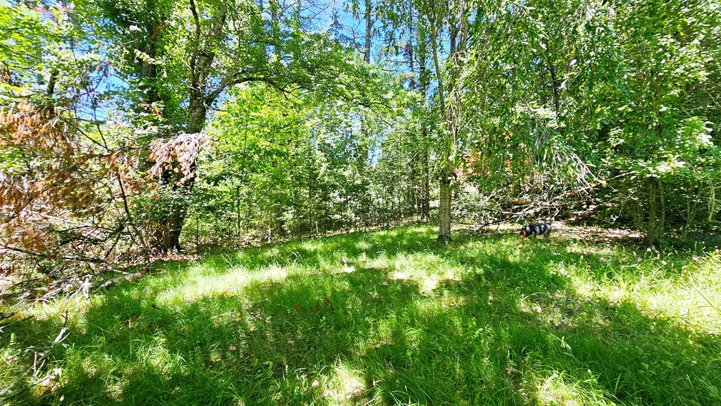 100 Hi Lo Hills Drive