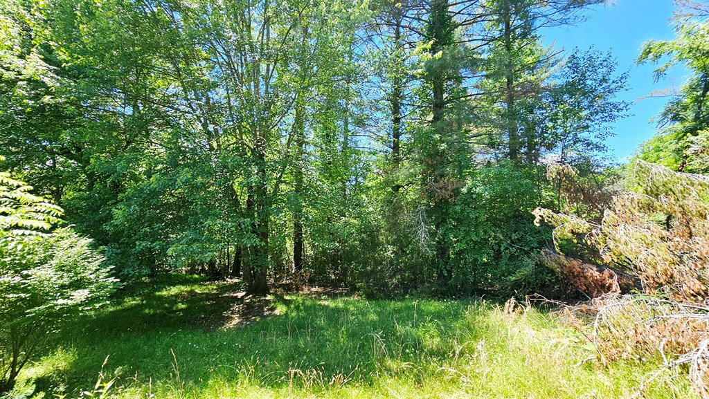 100 Hi Lo Hills Drive