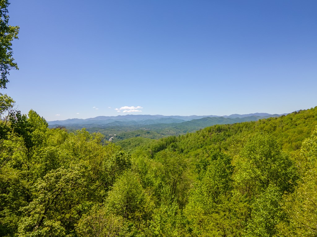 22 Chinquapin Heights