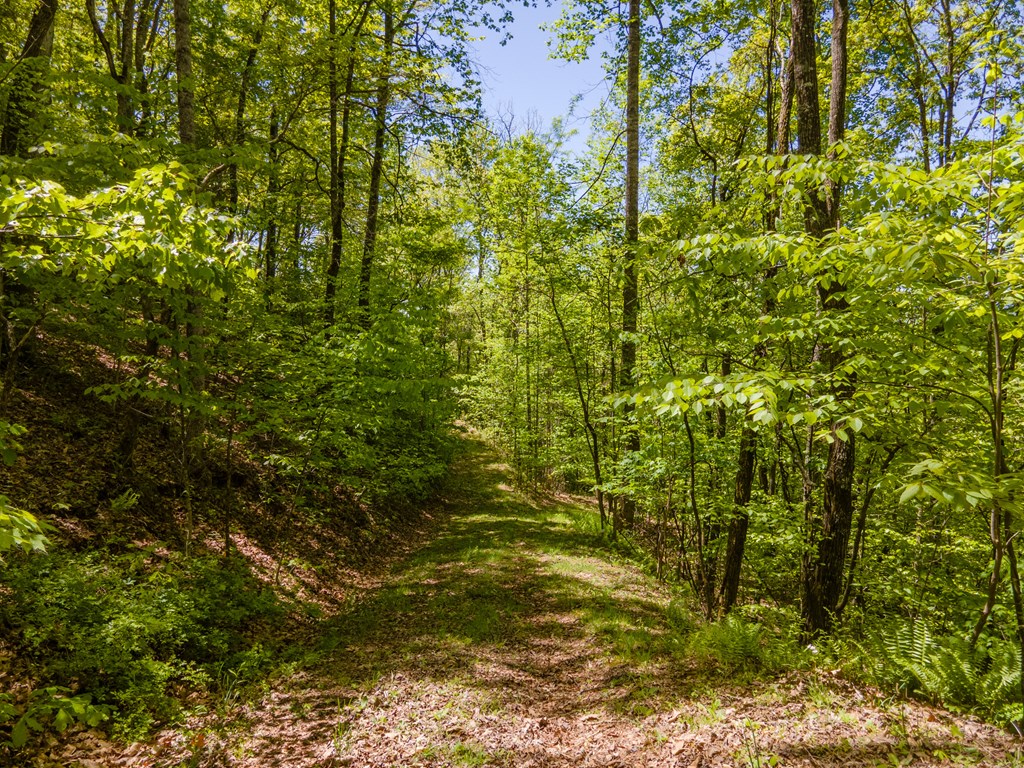 22 Chinquapin Heights