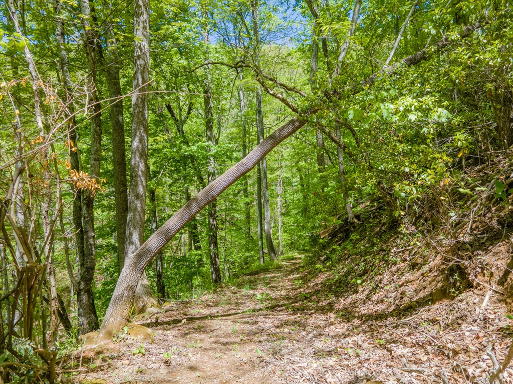 22 Chinquapin Heights