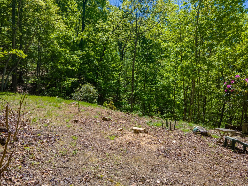 22 Chinquapin Heights
