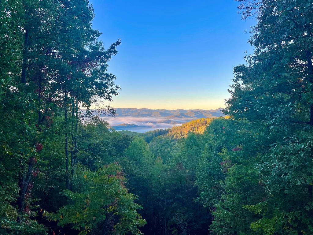22 Chinquapin Heights